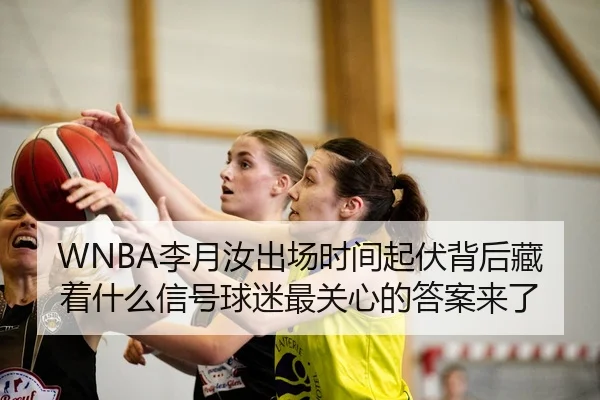img_1780842163389_110_1_948.jpg